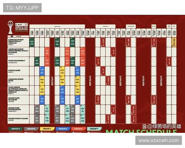 非洲杯赛程最新动态：各队备战情况与热门球员分析 - 副本 (4)