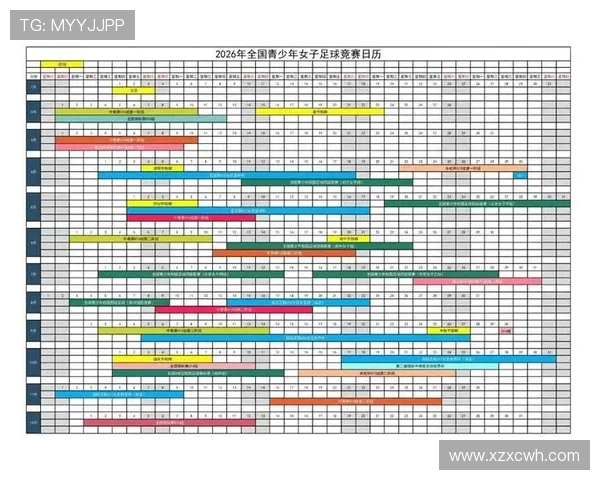 2026年体育赛事平台综合排名分析各大平台优势与特色 - 副本 - 副本 (2)
