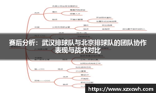 赛后分析：武汉排球队与北京排球队的团队协作表现与战术对比