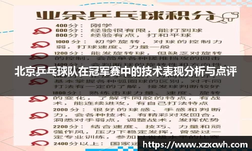 北京乒乓球队在冠军赛中的技术表现分析与点评