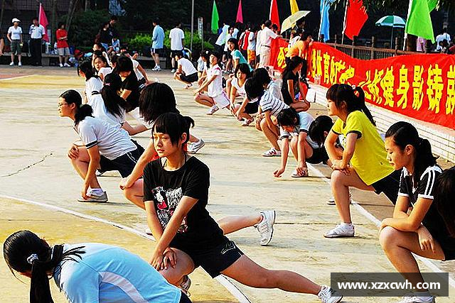 解读新葡的京集团